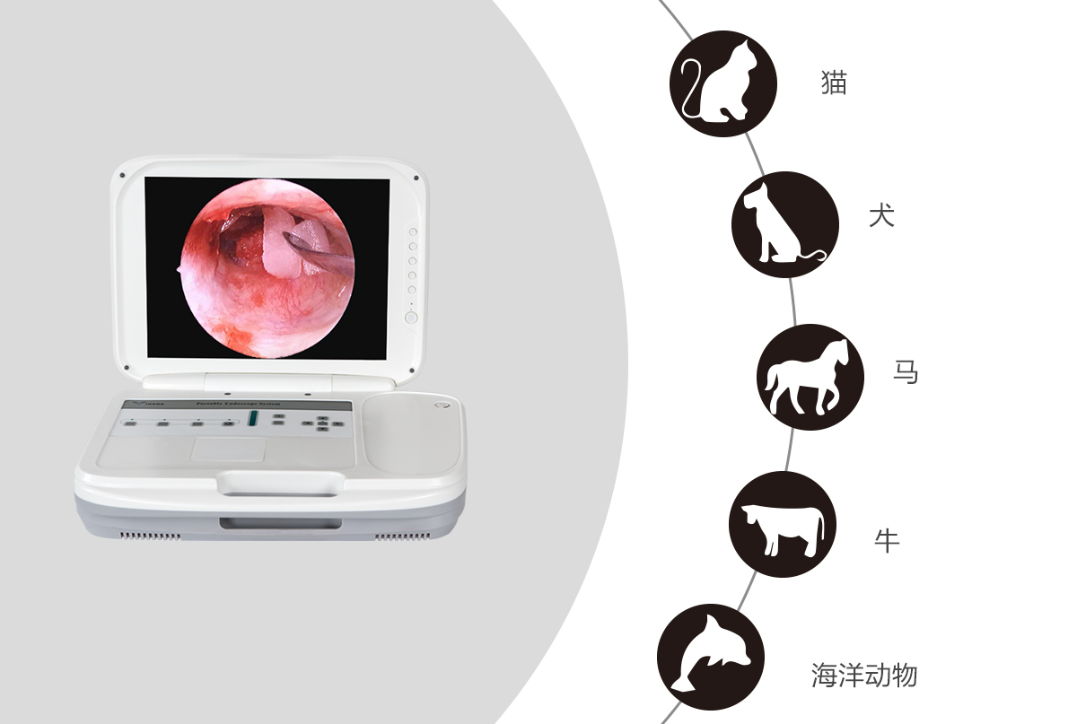 內(nèi)窺鏡攝像機的應用領(lǐng)域有哪些？