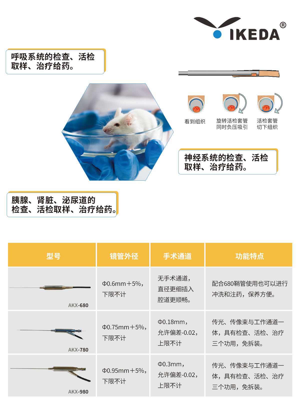 益柯達大、小鼠腸鏡解決方案